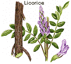 Licorice Root - cut