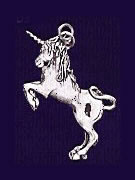 Unicorn Unicorn