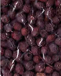 Hawthorn Berries whole